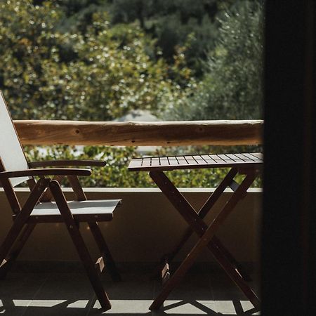 Acropolis Mystra Guesthouse Мистрас Екстериор снимка